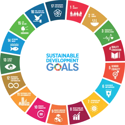 The 17 Sustainable Development Goals